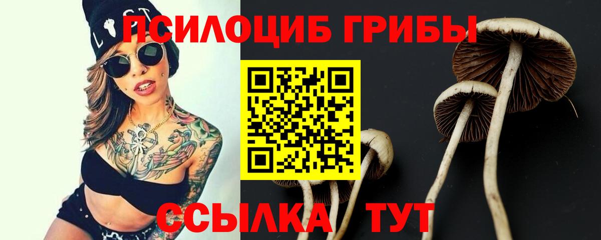 Псилоцибиновые грибы Psilocybine cubensis  Вход с VPN  Ноябрьск 